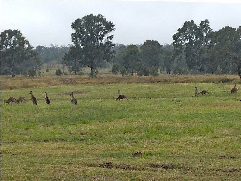 Lot 22 Evergreen Drive, Stockleigh QLD 4280