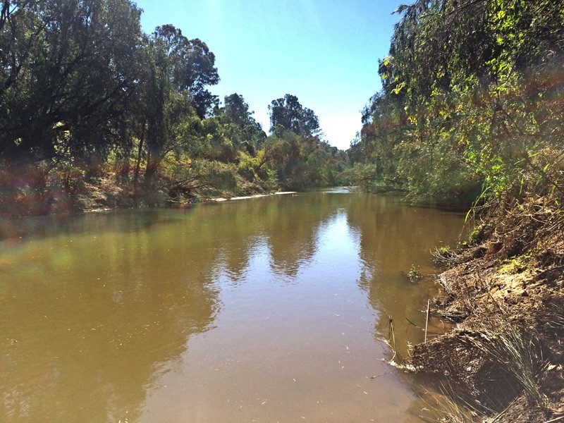 Lot 6 Evergreen Drive, South Maclean QLD 4280