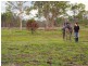 South Maclean QLD 4280
