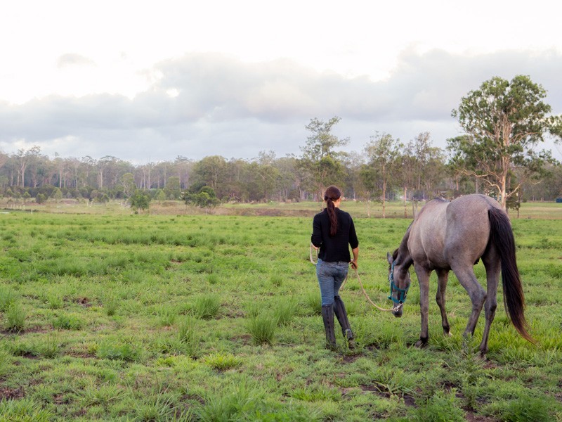 Lot 180 Evergreen Drive, Stockleigh QLD 4280