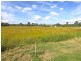 Lot 20 Evergreen Drive, South Maclean QLD 4280