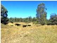 Leslie Dam QLD 4370