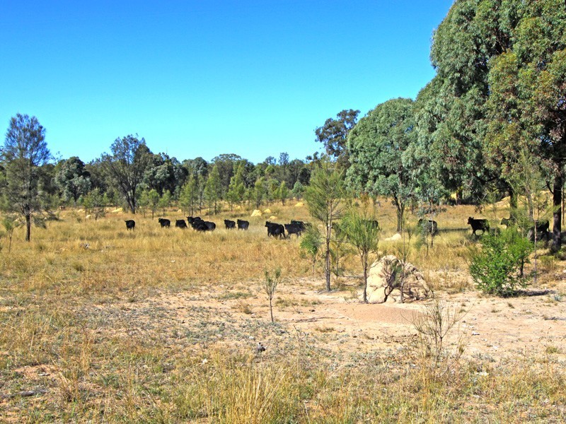 Leslie Dam QLD 4370