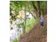 Lot 4 Evergreen Drive, Stockleigh QLD 4280