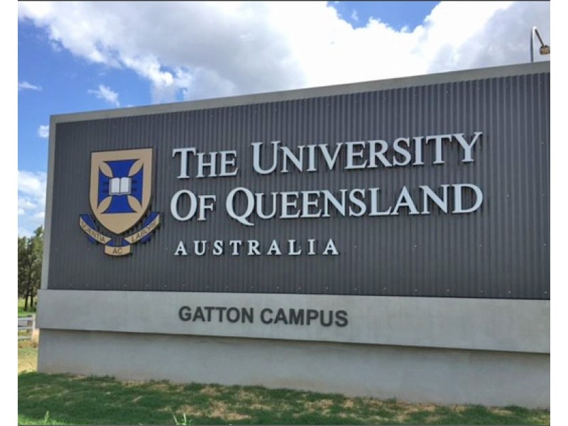 Gatton QLD 4343