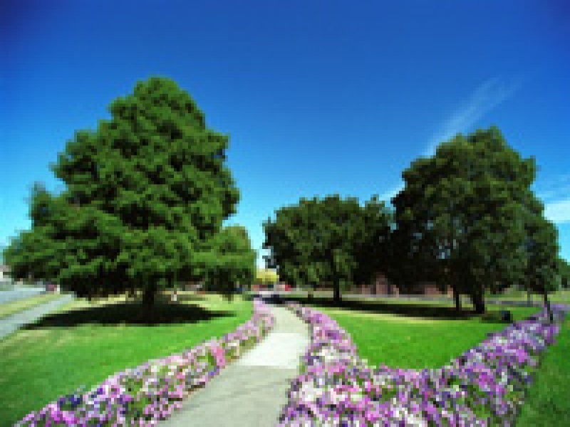 2/13 Belfort St, Dandenong VIC 3175