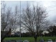 212/7-13 Dudley Street, Caulfield VIC 3162