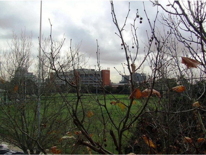 301/7-13 Dudley Street, Caulfield VIC 3162