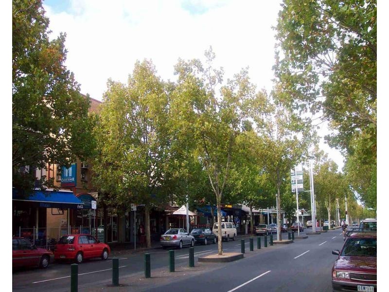 5A Naughton Place, Carlton VIC 3053