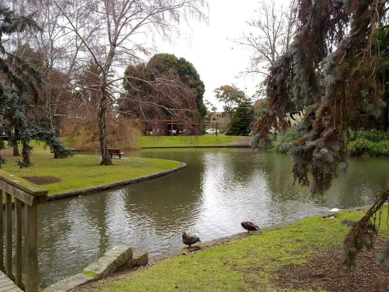 175 Balaclava Road, Caulfield VIC 3162