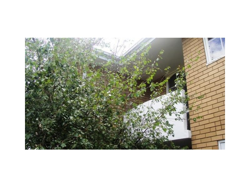 1887 Cnr Malvern Road & Moira Street, Malvern East VIC 3145