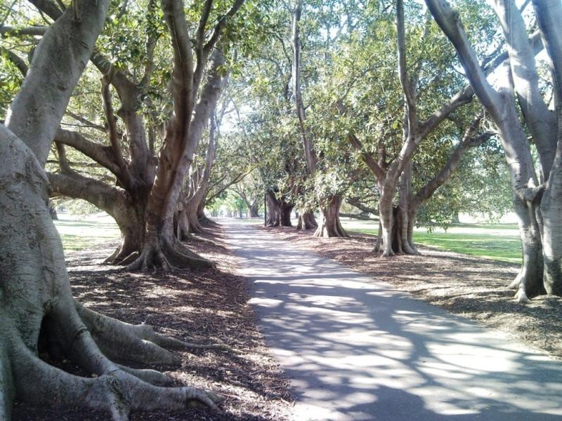 9/20 Leopold Street, South Yarra VIC 3141