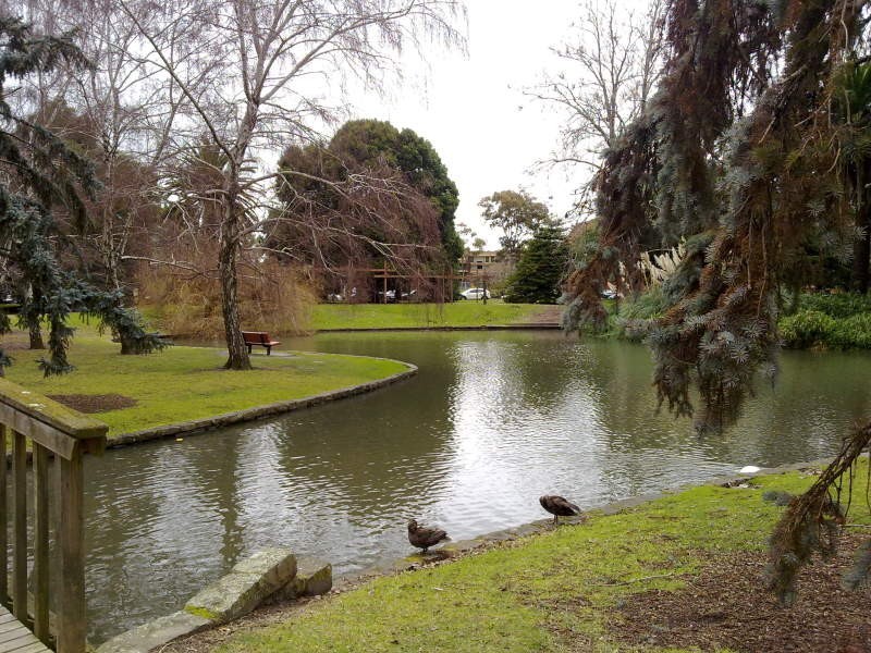 6/175 Balaclava Road, Caulfield North VIC 3161