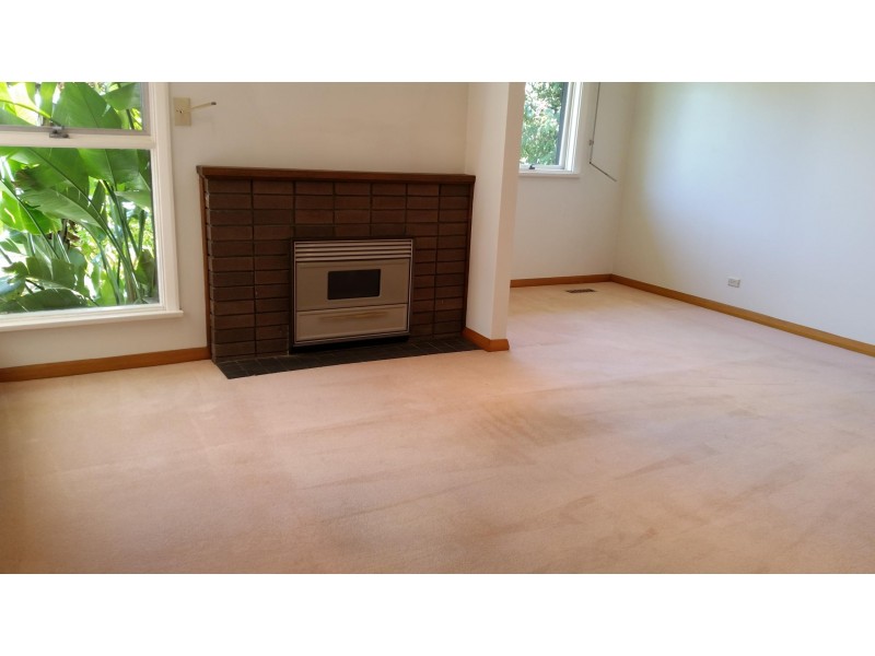 19 Oakern Street, Mount Waverley VIC 3149