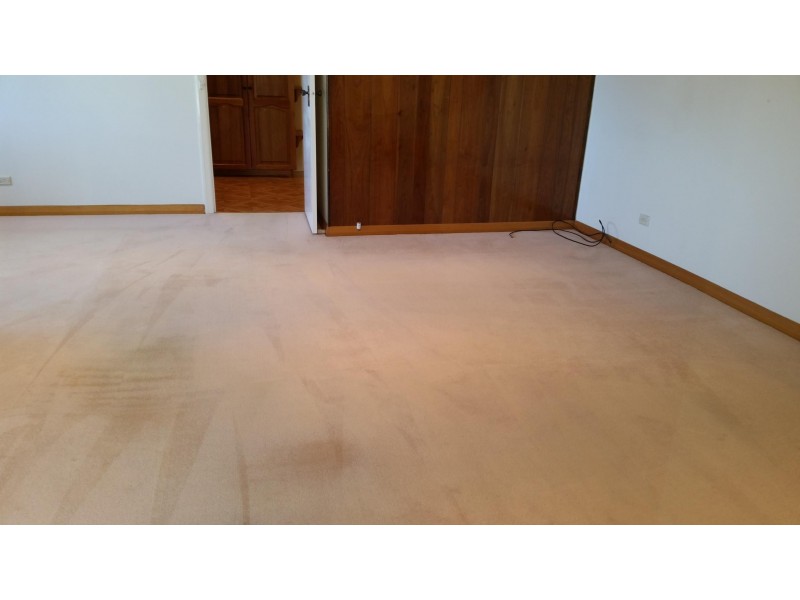 19 Oakern Street, Mount Waverley VIC 3149