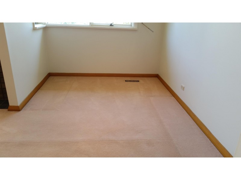 19 Oakern Street, Mount Waverley VIC 3149