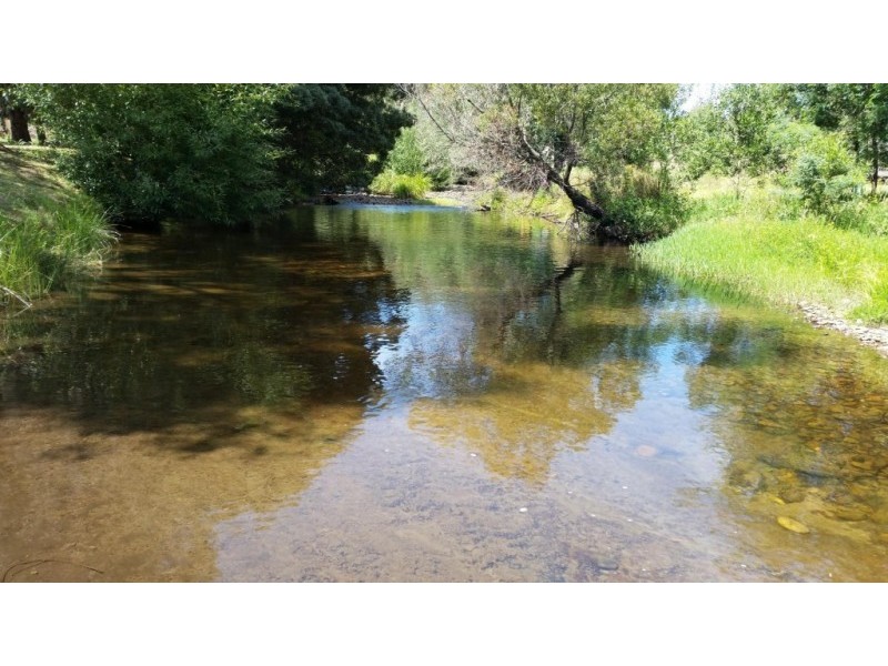 6 Merrijig Place, Merrijig VIC 3723