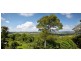 18 River Vista Court, Maroochy River QLD 4561