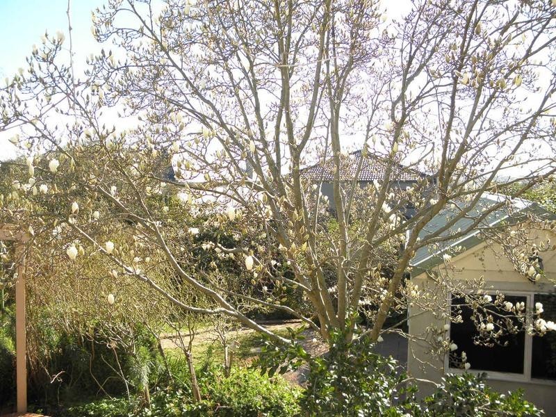 15 Rookwood Street, Balwyn North VIC 3104