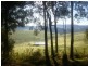 Nannup WA 6275