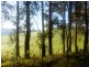 Nannup WA 6275