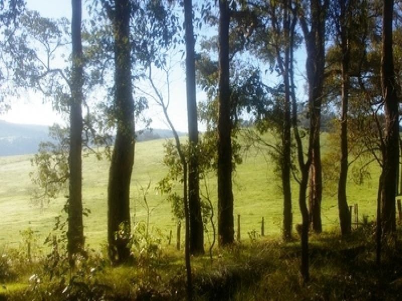 Nannup WA 6275