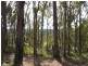 Nannup WA 6275