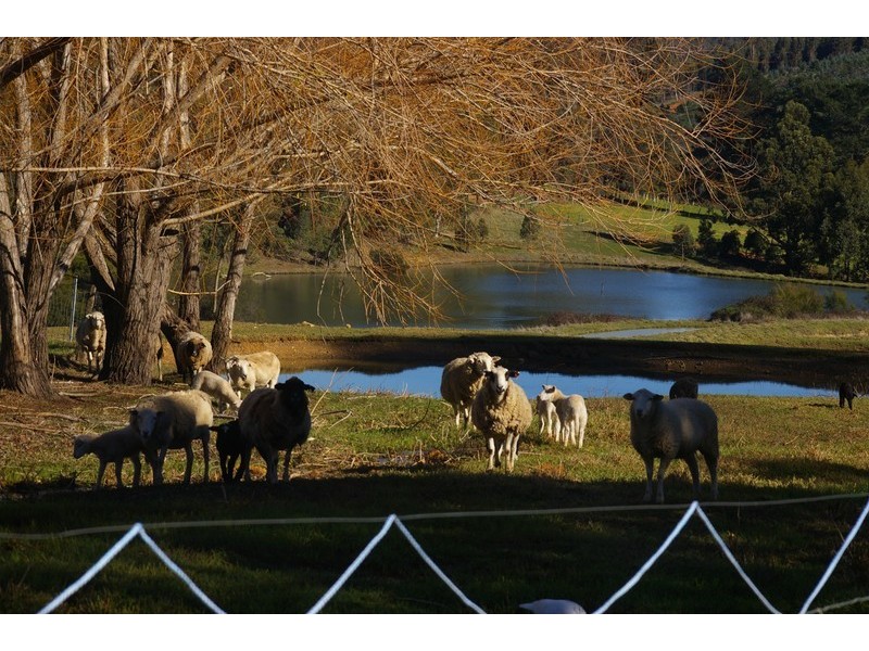 Nannup WA 6275