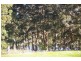 Nannup WA 6275