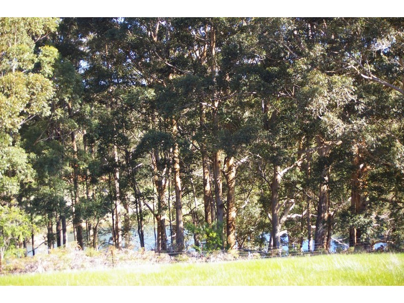 Nannup WA 6275