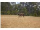 Nannup WA 6275