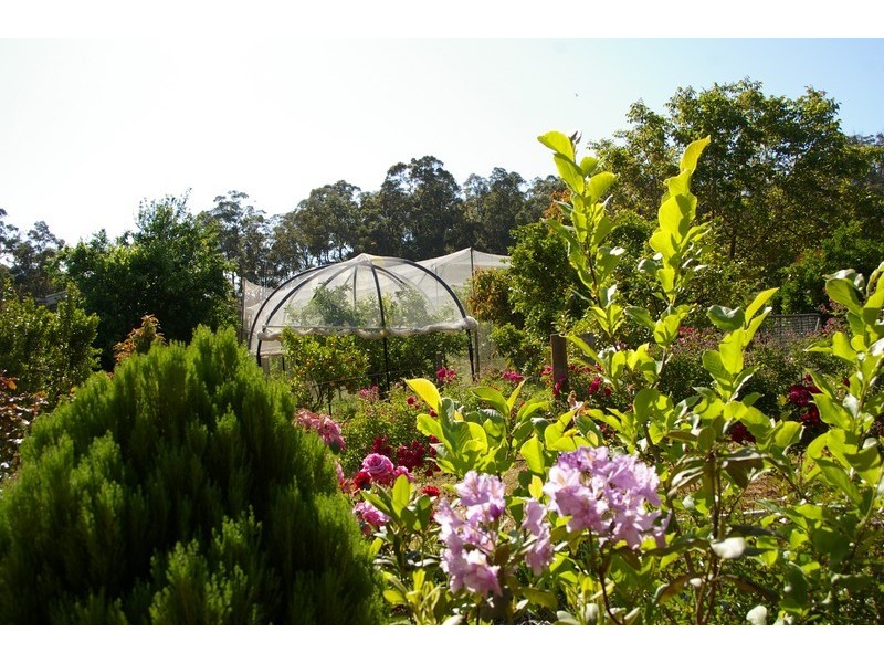 Nannup WA 6275