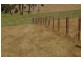 Nannup WA 6275