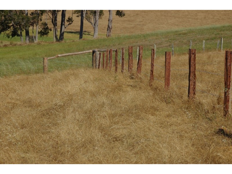 Nannup WA 6275
