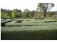 Manjimup WA 6258