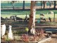 Nannup WA 6275