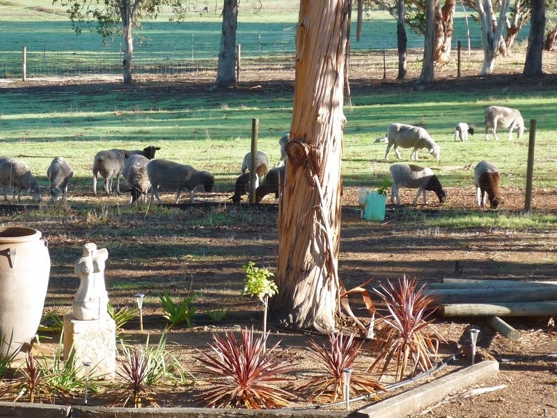 Nannup WA 6275