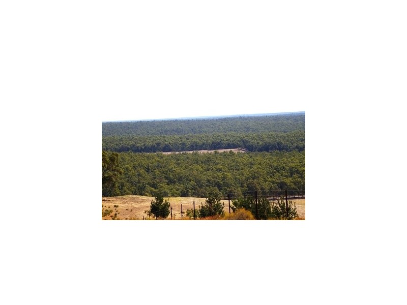 Nannup WA 6275