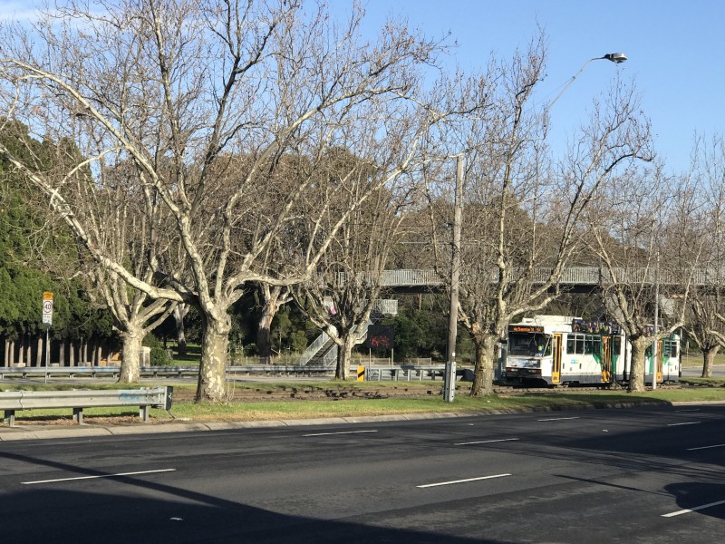 3/209 Dandenong Road, Windsor VIC 3181