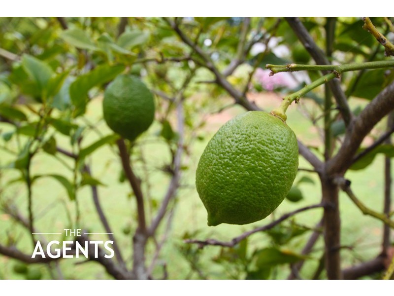 147 Saul Street, Brighton QLD 4017