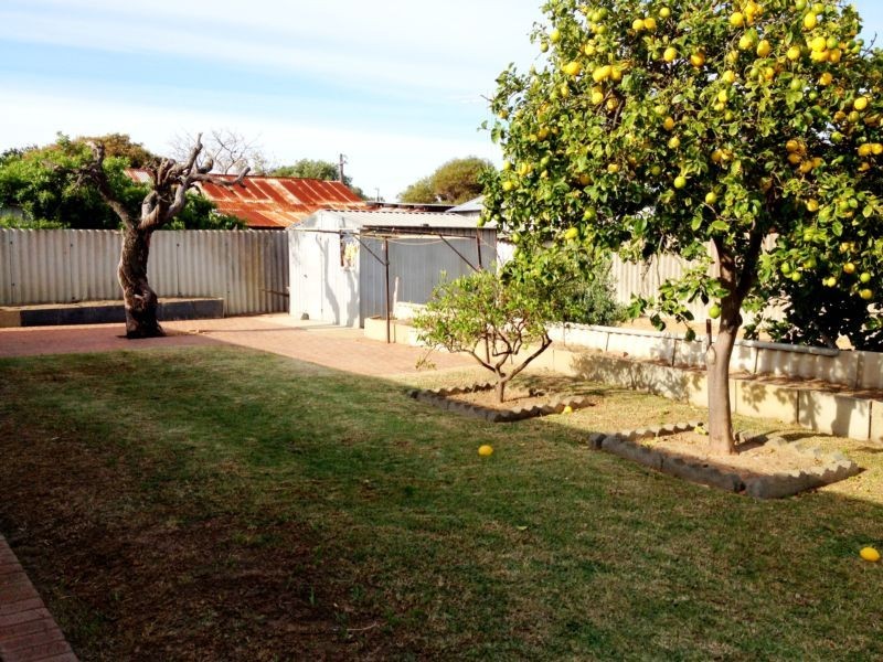 56 Norland Way, Spearwood WA 6163