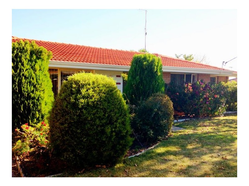 9 Dubove Road, Spearwood WA 6163