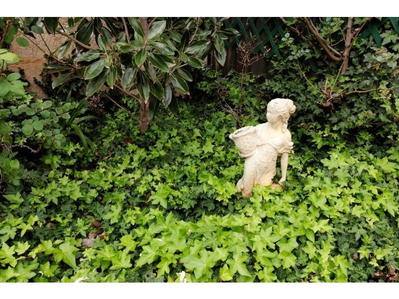 98c Edmund Street, Fremantle WA 6160