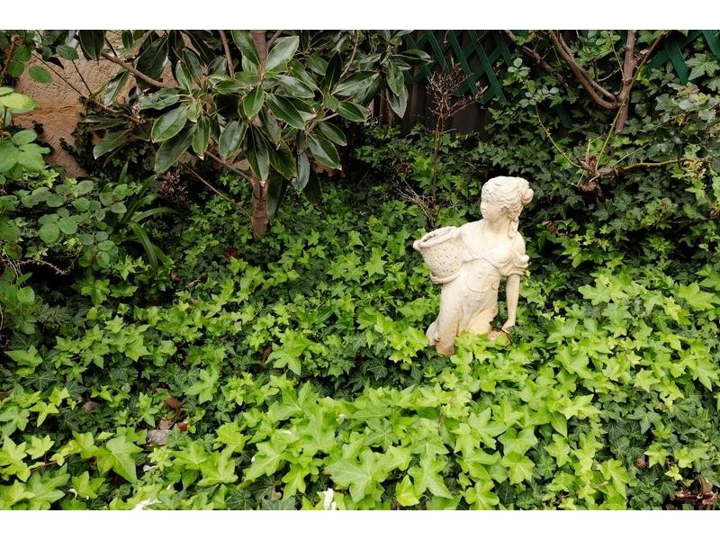 98c Edmund St, Fremantle WA 6160