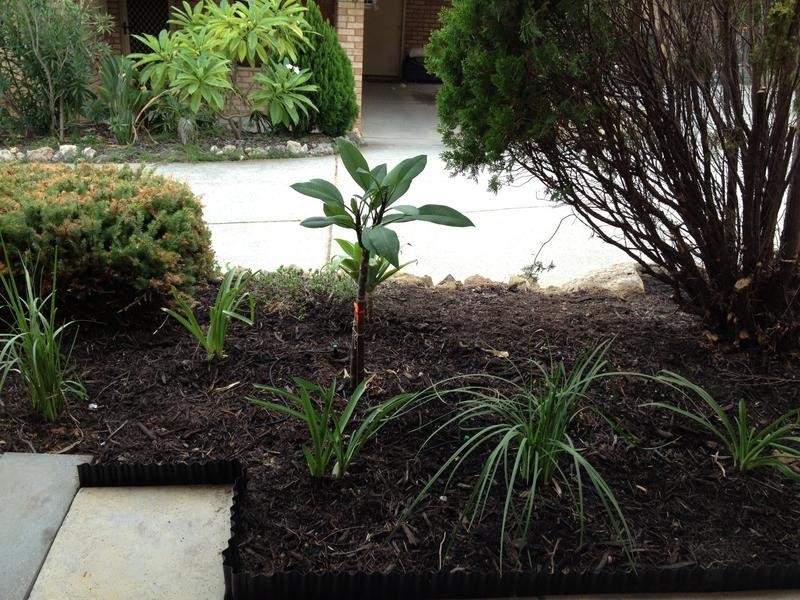 1/289 Rockingham Road, Spearwood WA 6163