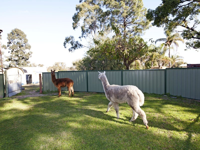 234 Henderson Road, Munster WA 6166