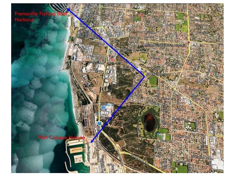 40 Davilak Avenue, Hamilton Hill WA 6163