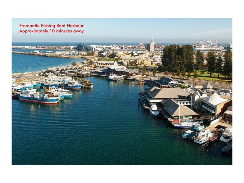 40 Davilak Avenue, Hamilton Hill WA 6163