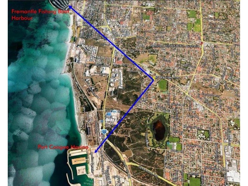 6/40 Davilak Avenue, Hamilton Hill WA 6163