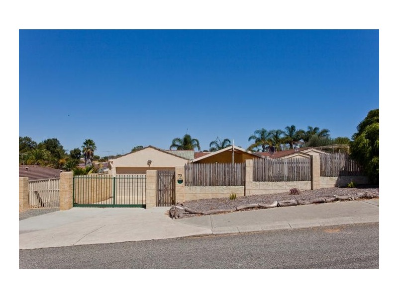 73 Newton Street, Spearwood WA 6163
